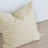 Cushion