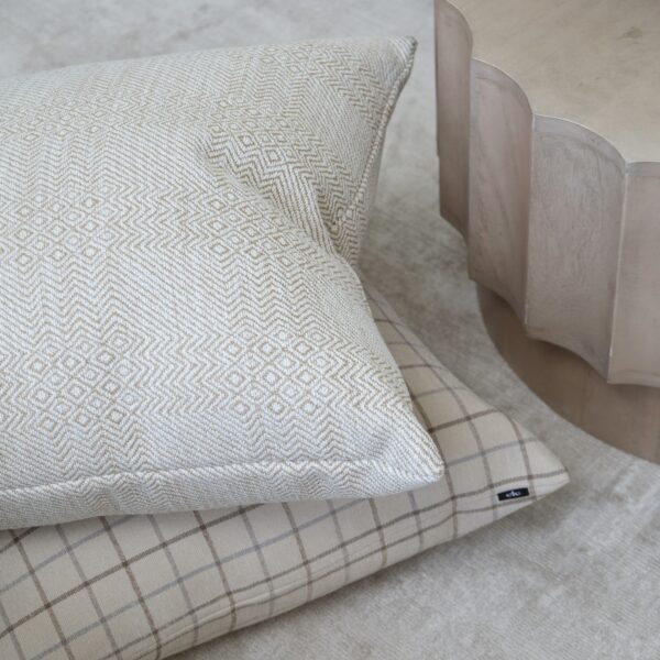 Cushion