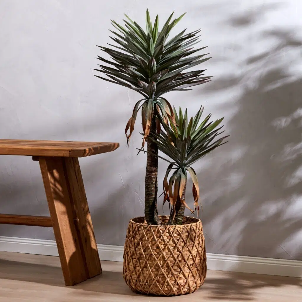 Elroi Console Table in natural colour, perfect for modern homes