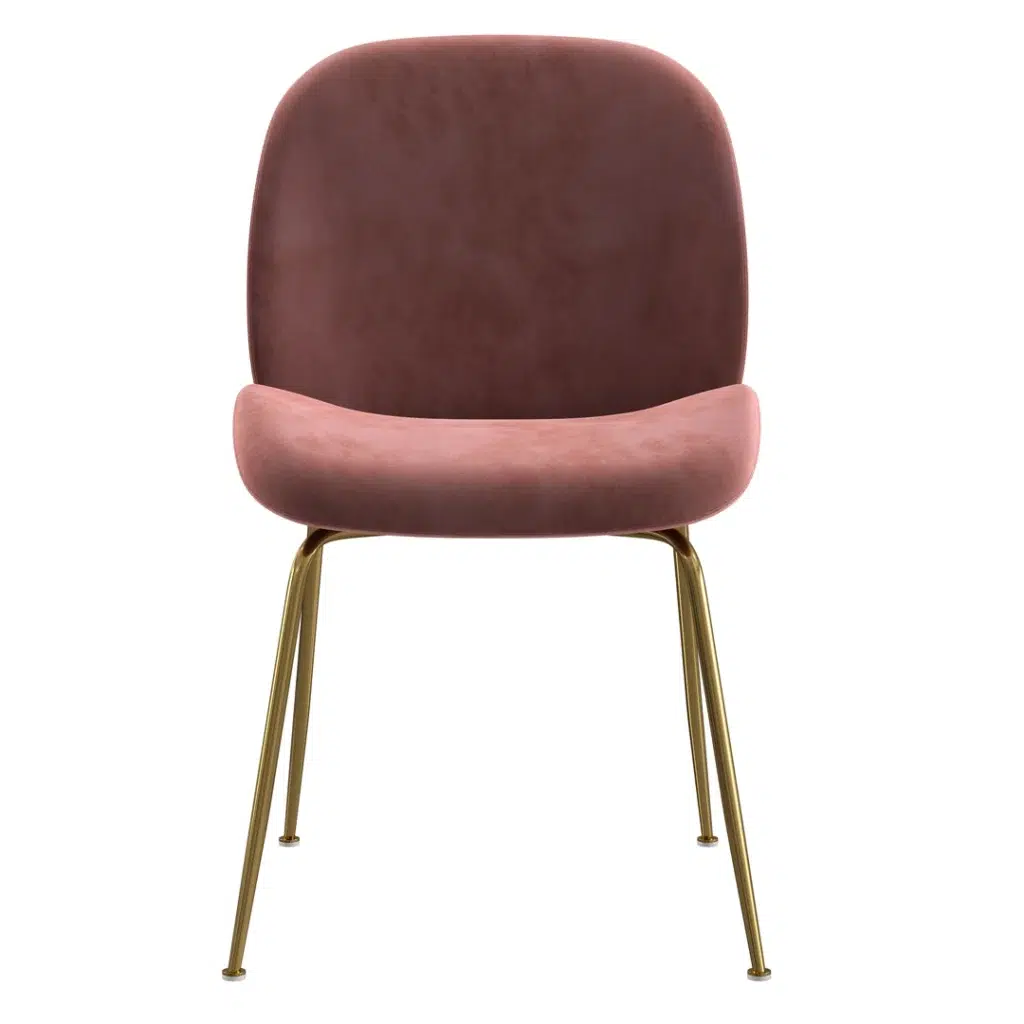Asta dining chairs in blush velvet with gold frame set of 2 modern style