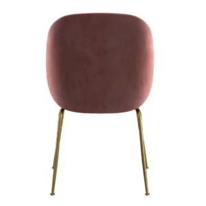 Asta dining chairs blush velvet and gold frame set of 2 modern contemporary style