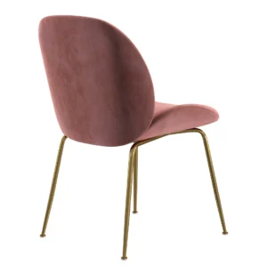 Asta dining chairs blush velvet and gold frame set of 2 modern contemporary style