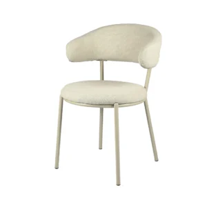 Cannes Dining Chair Shell Set of 2 Vibrant Modern Powder-Coated Frame