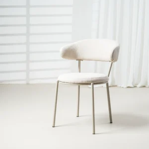 Vibrant Modern Cannes Dining Chair Shell Set of 2