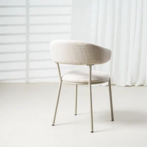 Cannes Modern Dining Chairs Set of 2 Vibrant Powder-Coated Frame