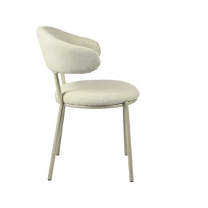 Cannes Dining Chair Shell Set of 2 Vibrant Ergonomic