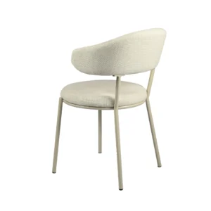 Cannes Dining Chair Shell Set of 2 Modern Vibrant