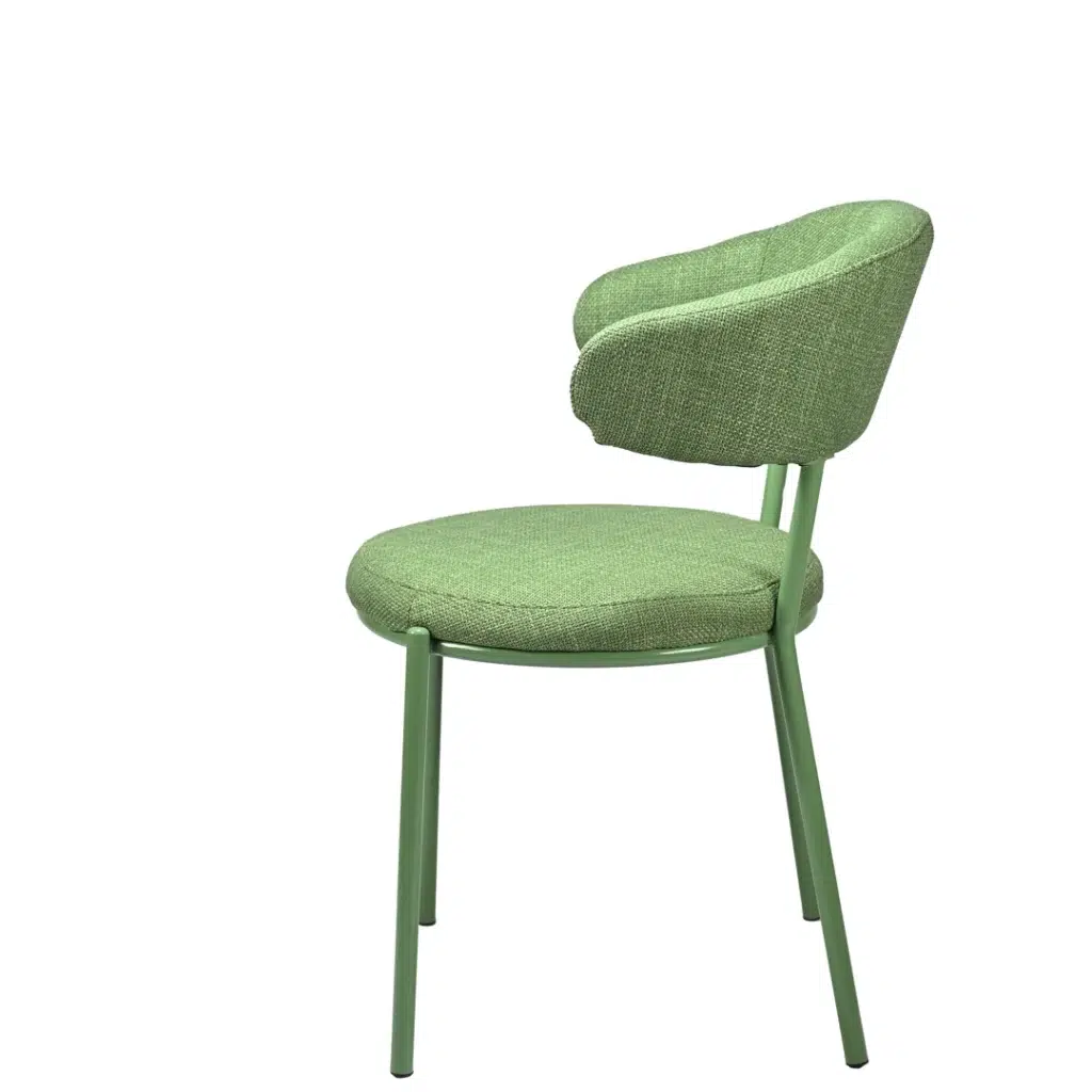 Cannes Moss Dining Chairs Set of 2 Powder-Coated Frame
