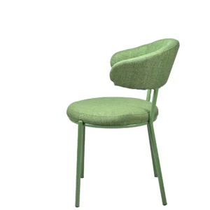 Cannes Moss Dining Chairs Set of 2 Powder-Coated Frame