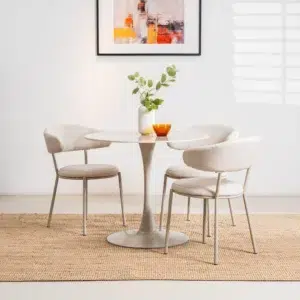 Cannes Dining Chair Shell Set of 2 Modern Ergonomic Powder-Coated Frame