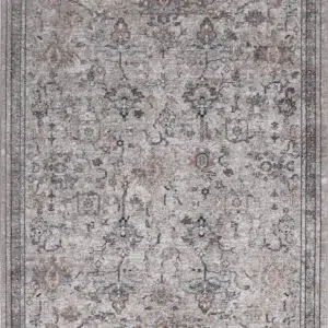 Baile Vintage Parklane Beige Rug - Classic Design, Premium Synthetic Yarn, Beige Color