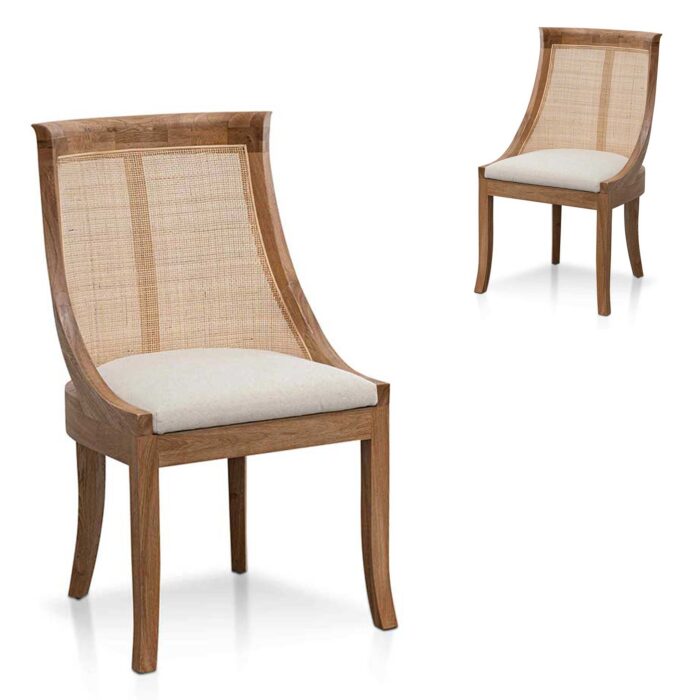 Fynel Dining Chairs Set of 2, Modern Coastal Design, Earthy Tones, Natural Wood Frame