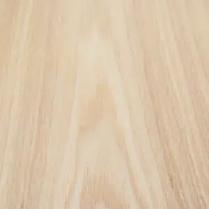 Meni Natural Dining Chair Set of 2 Modern Ergonomic