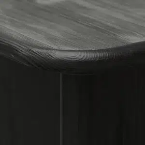 Ylena Side Table - Black Minimalist Sturdy Recycled Wood Design