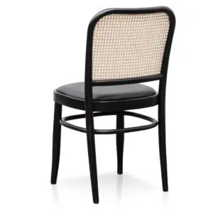 Nina Black Dining Chair Set of 2 - Modern Coastal Design