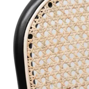 Nina Dining Chair Black Set of 2 Modern Coastal Design