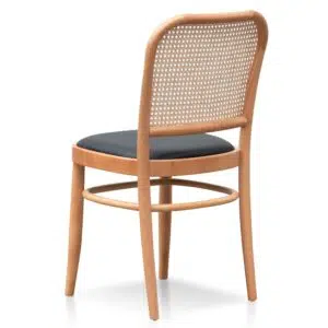 Eren Natural Dining Chair Coastal Rattan Leather Set