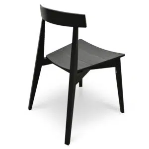 Modern Black Dining Chairs Set of 2