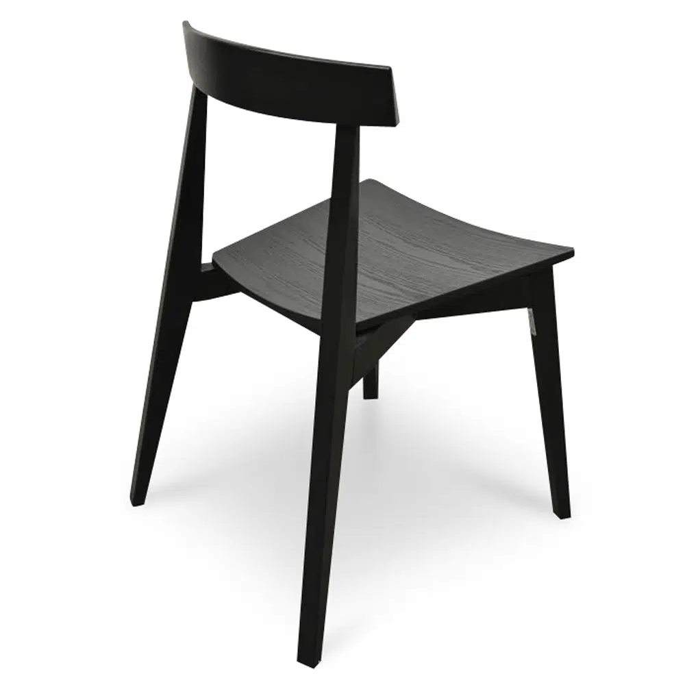 Modern Black Dining Chairs Set of 2
