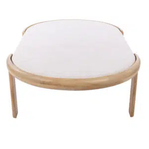 Ashton Coffee Table white marble top natural mango wood base