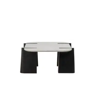 Dray Coffee Table black white marble mango wood modern