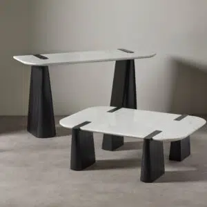 Dray Coffee Table black white marble mango wood modern