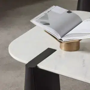 Dray Coffee Table black white marble mango wood modern