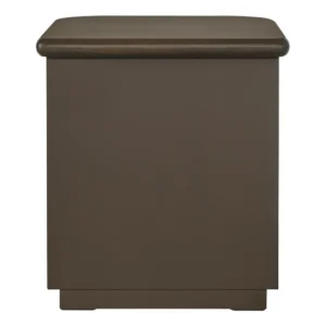Lina Bedside Table in Smoked Oak with Brass Drawer Pulls